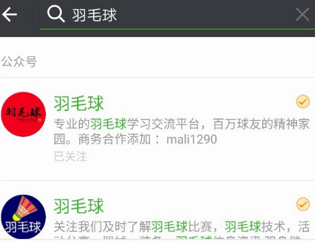 羽毛球搜索结果